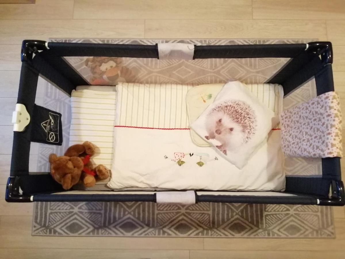 Domki Sowi Kamien 鲁穆尼卡 外观 照片